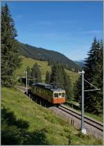 Der BLM Be 4/4 31  Lisi  als Regionalzug zwischen Grütschalp und Winteregg.