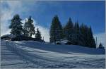 mvr-montreuxa8211veveya8211riviera-ex-cev/246383/gut-versteckt-hinter-dem-vielen-schnee Gut versteckt hinter dem vielen Schnee 'zeigt' sich der Beh 2/4 72 auf dem Les Pliades.
(19.12.2012)