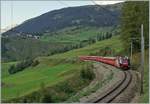 albulabahn-unesco-weltkulturerbe/531647/die-rhb-ge-44-iii-646 Die RhB Ge 4/4 III 646 'BÜGA' ist mit einem Albula Schnellzug von St Moritz nach Chur auf der mittleren Stufe oberhalb von Bergün unterwegs.
