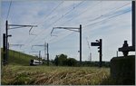 Ohne Frage, der alte SNCF-Charme ist seit der Modernisierung* der Strecke Genève - La Plaine verschwunden, doch lohnt sich, so finde ich jedenfalls, auch heute noch ein Besuch der westlichsten