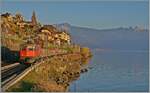 re-4-4-ii-re-420/906392/in-der-von-der-hinter-meinem In der von der hinter meinem Rücken langsam untergehend Sonne schon etwas rot gefärbten Landschaft des Lavaux ist die SBB Re 4/4 II 11294 (Re 420 294-1) '100 Jahre Zirkus Knie' mit einem Güterzug auf dem Weg in Richtung Lausanne. 15. November 2024