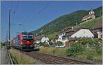 sbb-cargo/893176/zwei-vectrom-und-eine-kalte-re Zwei Vectrom (und eine 'kalte' Re 4/4 II) sind bei Ligerz mit einem Güterzug auf der Fahrt in Richtung Biel/Bienne. Die Lok an der Zugsspitze ist die 193 064.

19. Juni 2025