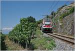 Sommerfahrplan 2018: Der RE 30219 auf dem Weg nach Fribourg oberhalb von St-Saphorin.