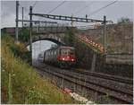 im Lavaux/707842/die-sbb-re-66-11634-re Die SBB Re 6/6 11634 (Re 620 034-8) 'Aarburg Oftringen' erreicht mit ihrem Güterzug Cully, ein Bahnhof, dem umfangreiche Umbauarbeiten bevorstehen. 

3. August 2020