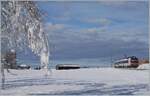 Zwischen Sales und Vaulruz konnte in einer herrlichen Winterlandschaft dieser SBB RBDe 560 Domino fotografiert werden. Der für die tpf fahrende Zug ist als RE 3818 von Bern nach Bulle unterwegs. 23. Dezember 2021