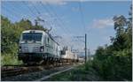 railcare-ag/692122/die-railcare-rem-476-453-verlsst Die RailCare Rem 476 453 verlsst mit einem Lebensmittel Container Zug Vuffelens la Ville.

29. August 2018