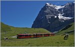 Der neue Jungfraubahnzug Bhe 4/8 auf Talfahrt kurz vor der kleinen Scheidegg, im Hintergrund der Eiger.