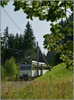 Der Rochers de Naye Beh 4/8 305 kommt erreicht als Regionalzug 3360 in Krze die Haltestelle Crt-y-Bau.
3. Aug. 2013