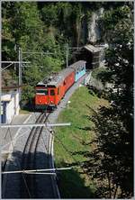 Aus Anlass des Jubiläums 125 Jahre Rocheres de Naye Bahn bietet die Zahnradbahn z.Z.