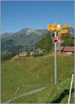 Neben vielen Wanderwegen gibt es in der Jungfrauregion auch zahleiche Zge zu entdecken. 
WAB Regionalzug auf dem Weg zur Kleien Scheidegg bei der Wengeneralp. 
21. Aug 2013