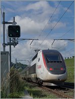 Der TGV Lyria 9768 auf dem Weg von Genève (9:42) nach Paris (12:46) verlässt Russin und nach wenigen Kilometern die Schweiz.