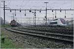Der TGV Lyria 4415 wartet im Rangierbahnhof Biel auf seinen nächsten Einsatz, der ihn als Leermaterialzug nach Bern bringen wird, doch so in der Ruhestellung brennen am Triebzug hinten und vorne die roten Schlussleuchten.

5. April 2019