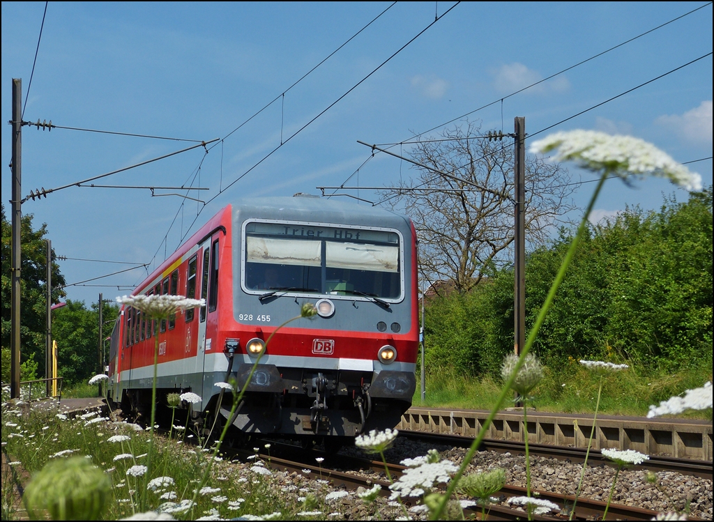 . Der Sommer zeigte sich von seiner schnsten Seite am 16.07.2013, als der DB Triebzug 928 455 als RE 5211 Luxembourg - Trier Hbf den Bahnhof von Mertert durchfuhr. (Jeanny)