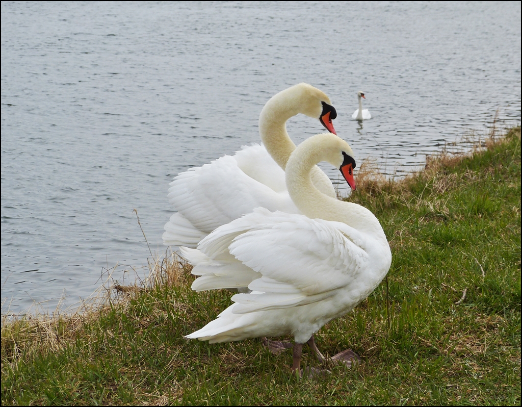 . Frhlingsgefhle. 08.04.2013 (Jeanny)