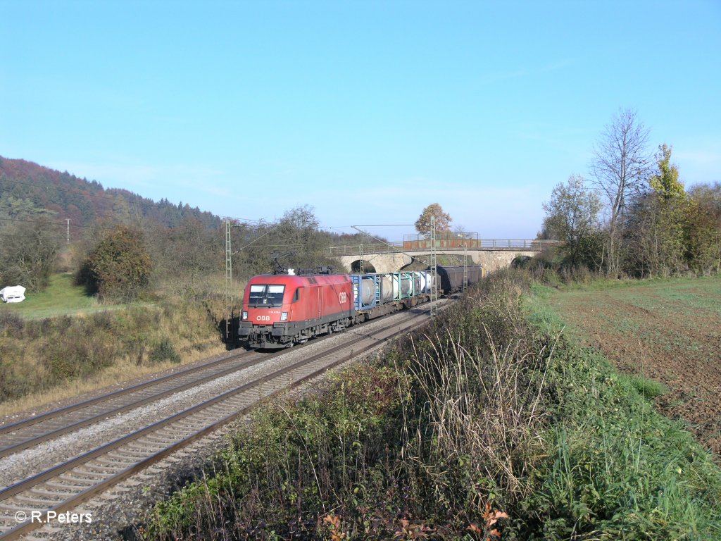 1116 079-3  Heini  mit einem gemischten G�terzug bei Dettenhofen. 29.10.10