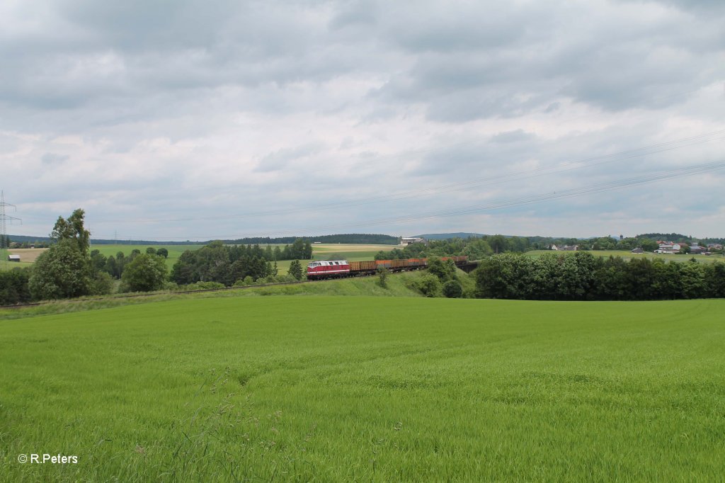 118 770 mit einem Kokszug aus CZ bei Seu�en. 15.06.13