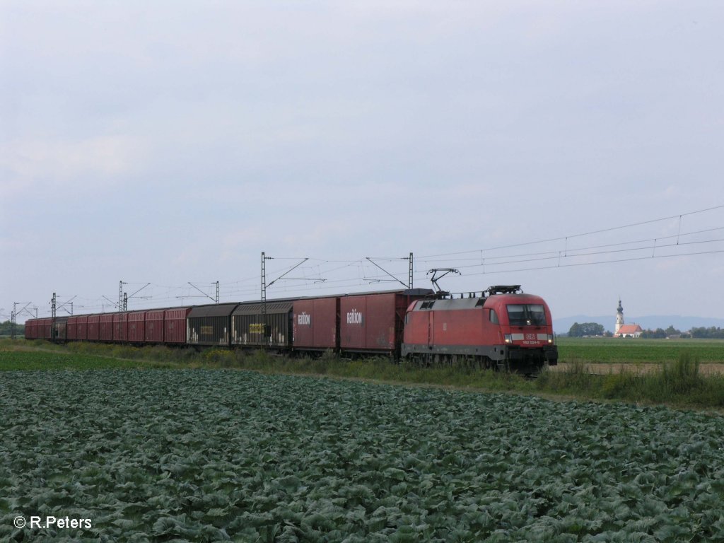 182 024-0 zieht ein gedeckten G�terzug bei Stephansposching nach Passau. 08.08.09
