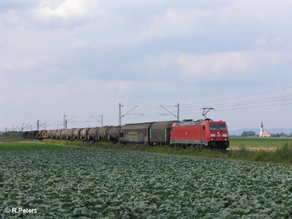 185 341-5 zieht bei Stephansposching ein gemischten G�terzug in Richtung Plattling. 08.08.09
