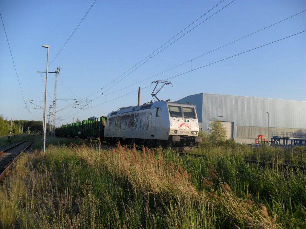 185 540 in Wismar am 25.5.11