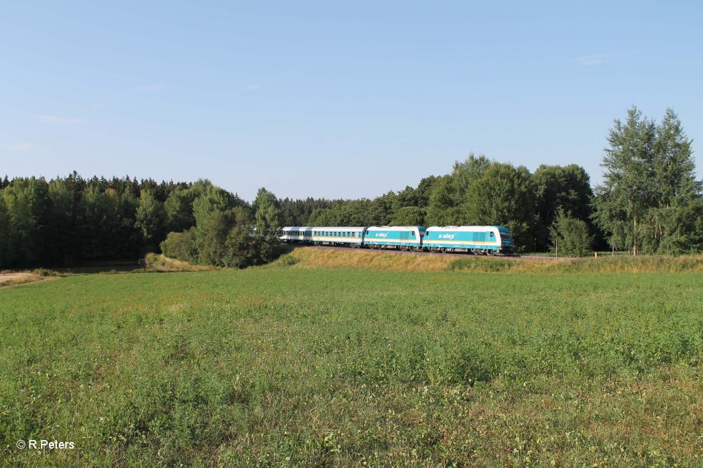 223 062 und 067 mit dem ALX84121 Hof - M�nchen bei oberteich. 28.07.13