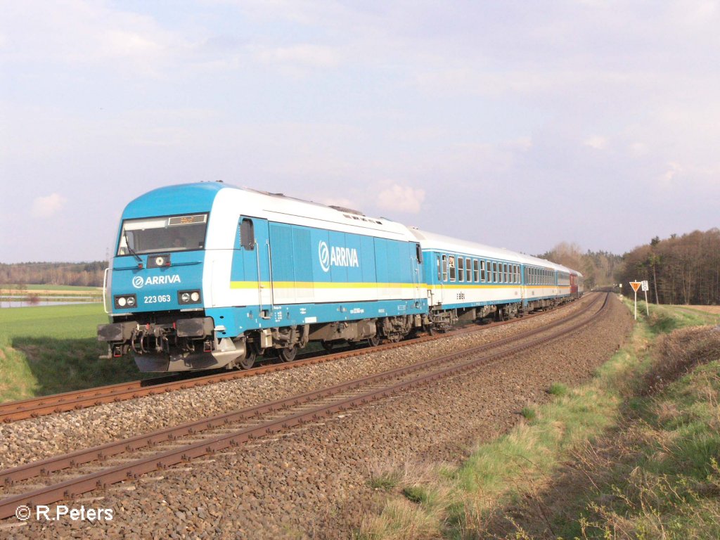 223 063 zieht bei Oberteich den ALX37980 nach Hof. 26.04.08
