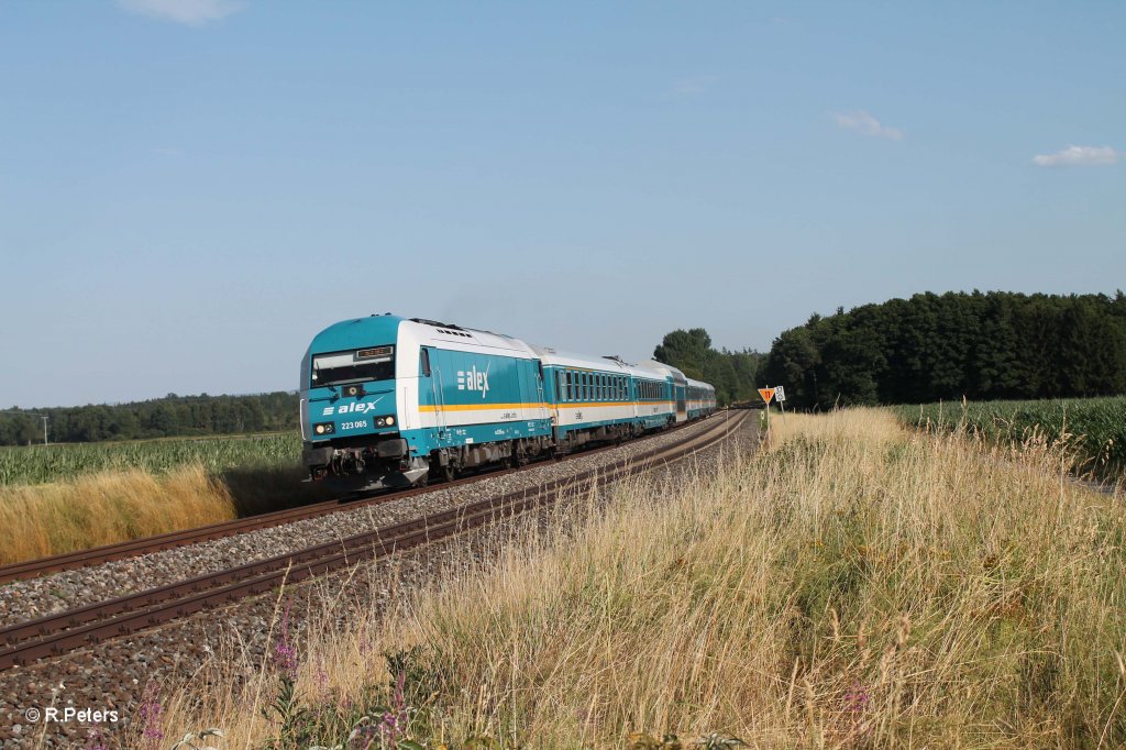 223 065 mit dem ALX84110 M�nchen - Hof bei Oberteich. 28.07.13