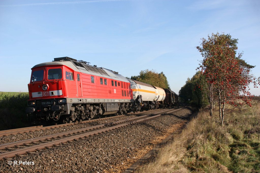 232 254-3 mit dem 45362 Cheb - N�rnberg bei Waldershof. 16.10.11