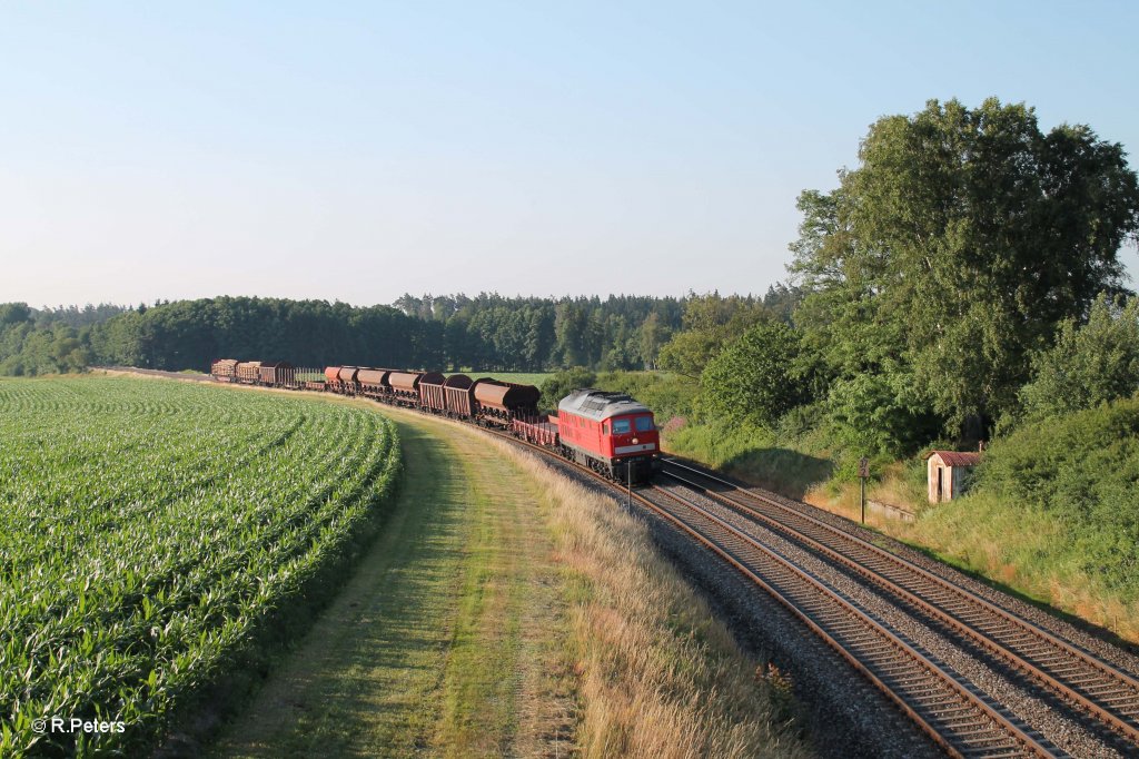 232 359-0 mit dem umgeleiteten 45367 N�rnberg - Cheb in der Kurve bei Oberteich. 19.07.13