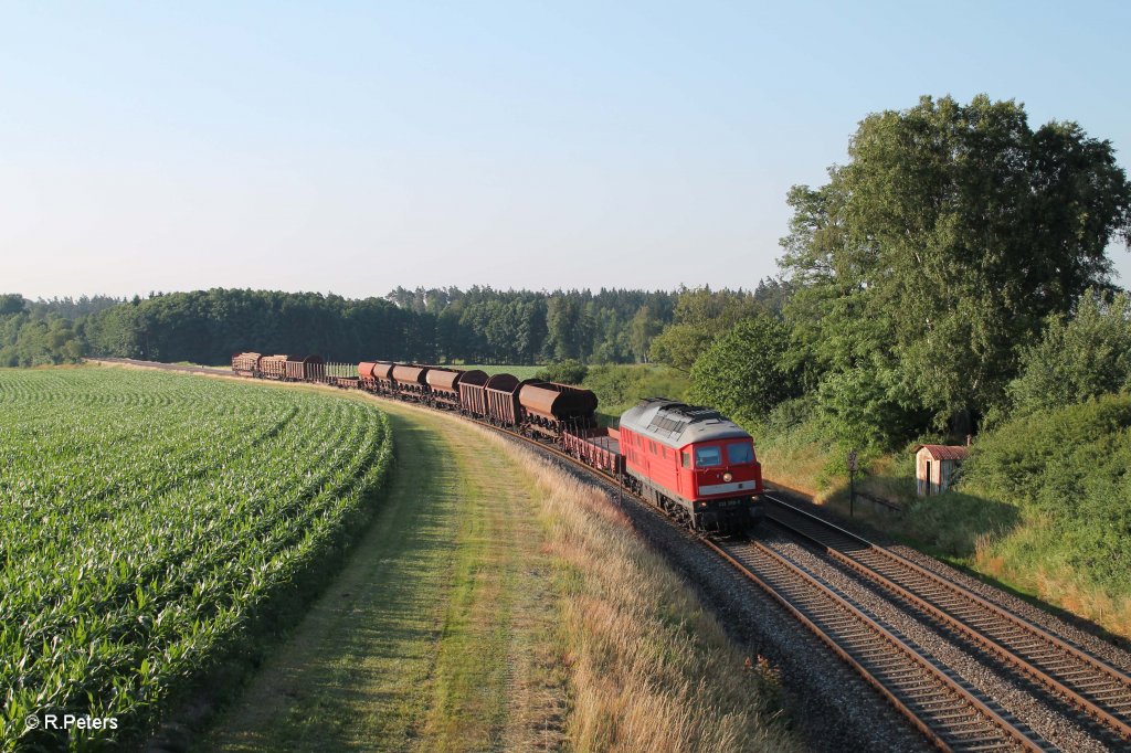 232 359-0 mit dem umgeleiteten 45367 N�rnberg - Cheb in der Kurve bei Oberteich. 19.07.13
