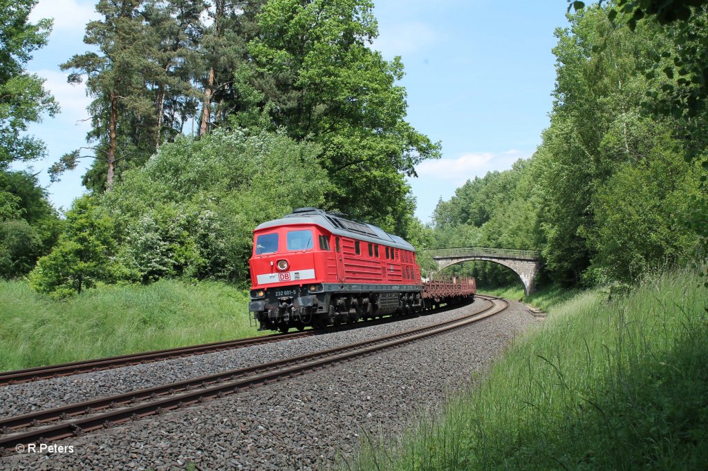 232 601-5 mit Langschienenzug in der Kurve bei Sch�nfeld. 13.06.13