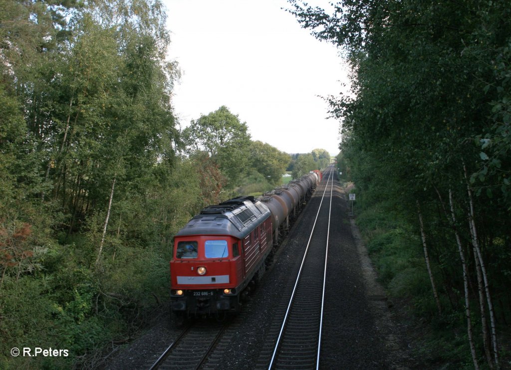 232 686-6 mit gemischten G�terzug nach N�rnberg bei Waldershof. 14.09.11