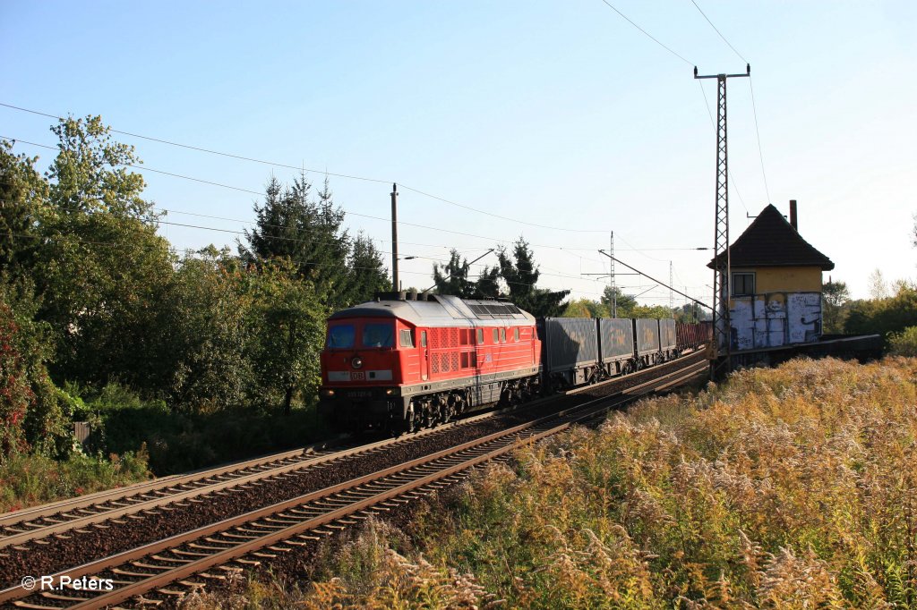 233 127-0 mit einem gemischten G�terzug aus Polen nach Seddin bei Frankfurt/Oder Nuhnen. 06.10.11