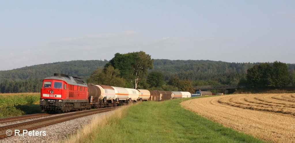 233 217-9 mit den 45360 Cheb - N�nrberg bei Oberteich. 23.08.11