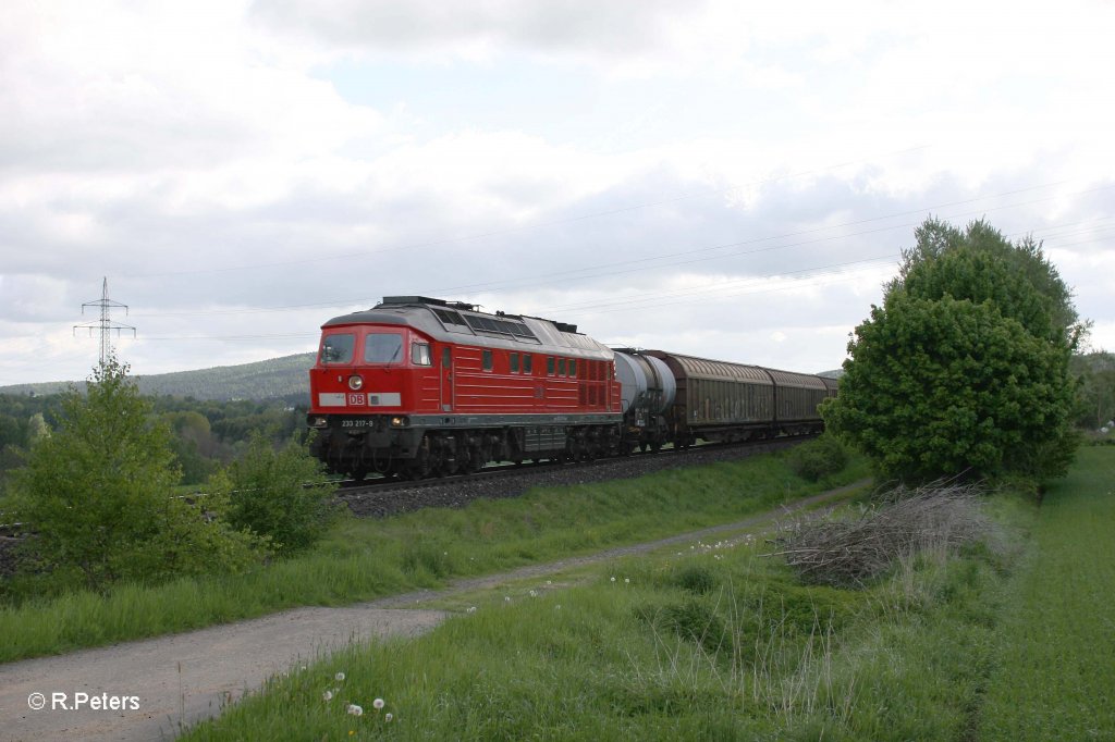 233 217-9 mit 45362 Cheb - N�rnberg bei Brand. 13.05.12