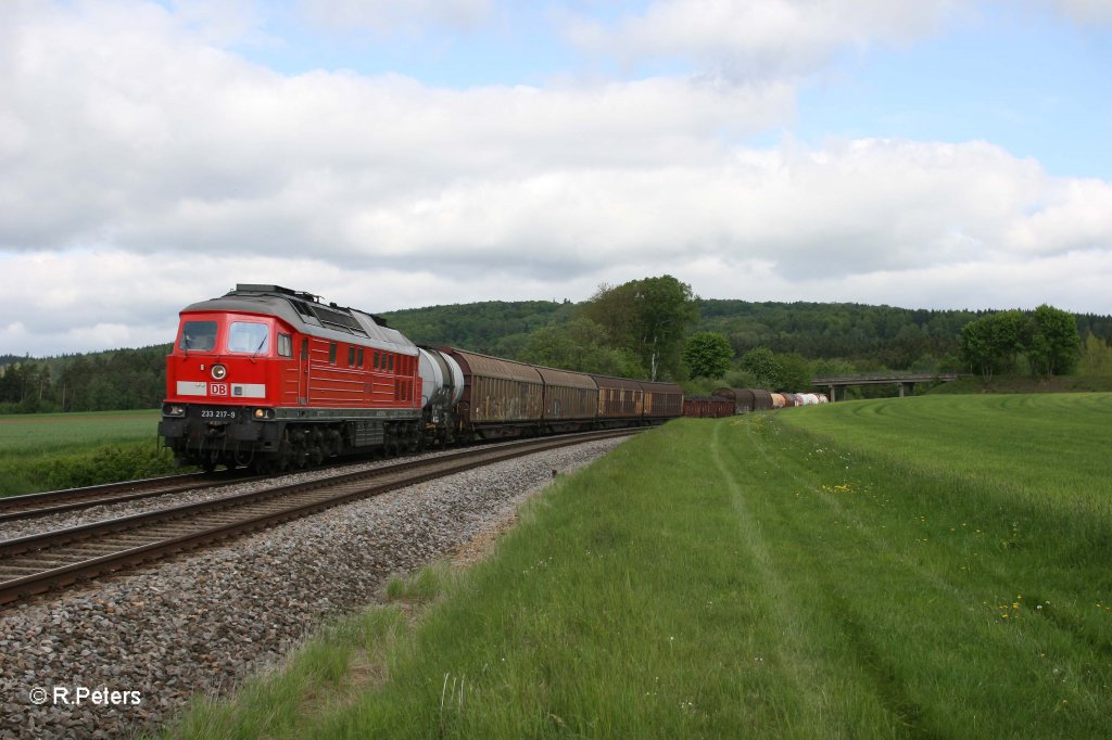 233 217-9 mit dem 45362 Cheb - N�rnberg bei Oberteich. 13.05.12