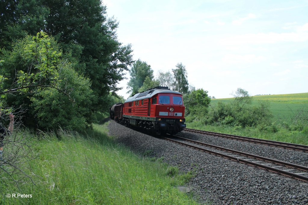 233 217-9 mit dem langen 45365 N�rnberg - Cheb bei Sch�nfeld. 13.06.13