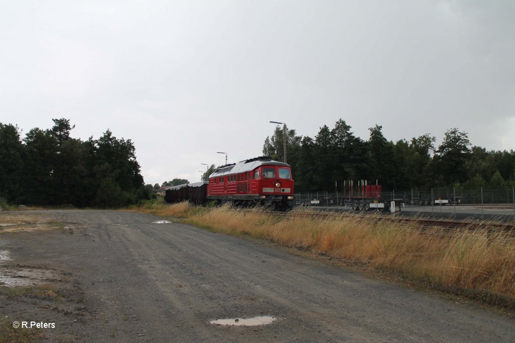 233 219-5 bei der Einfahrt in Wiesau mit dem Schrottzug 45368 Cheb - N�rnberg.30.07.13