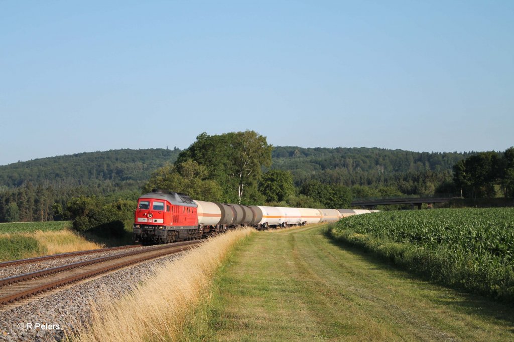 233 373-0 mit dem umgeleiteten 45360 Cheb - N�rnberg bei Oberteich. 19.07.13