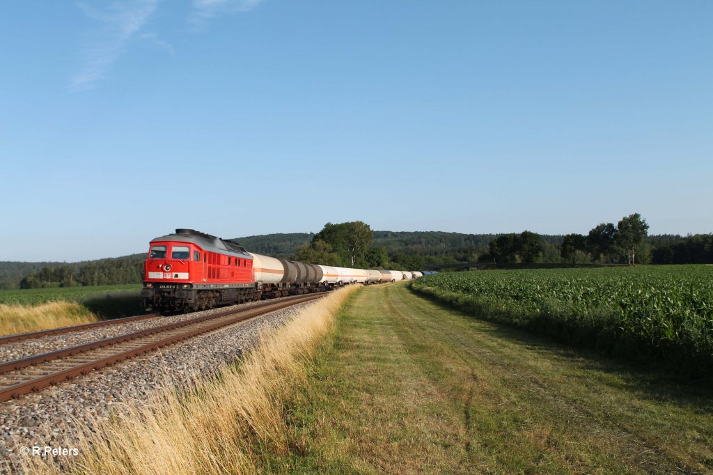 233 373-0 mit dem umgeleiteten 45360 Cheb - N�rnberg bei Oberteich. 19.07.13