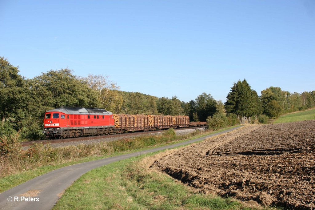 233 373-0 mit einem Umleiterg�terzug nach Cz bei Lengenfeld kurz vor Maktredwitz. 30.09.12
