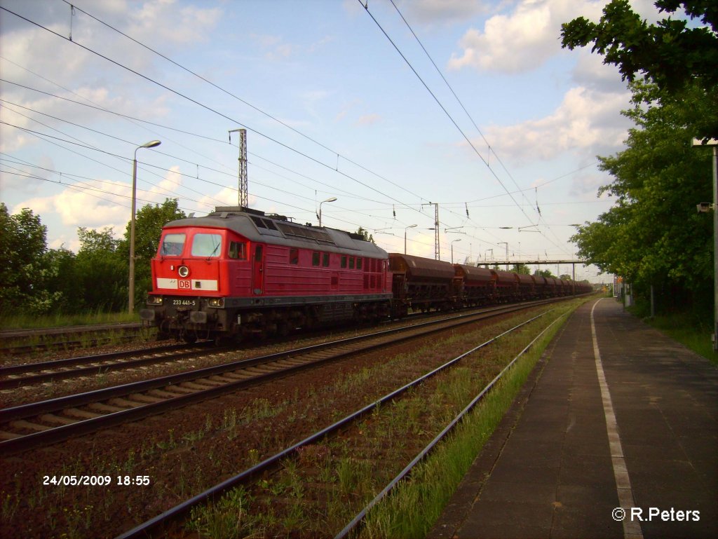 233 441-5 durchf�hrt Saarmund mit ein Schotterzug. 24.05.09