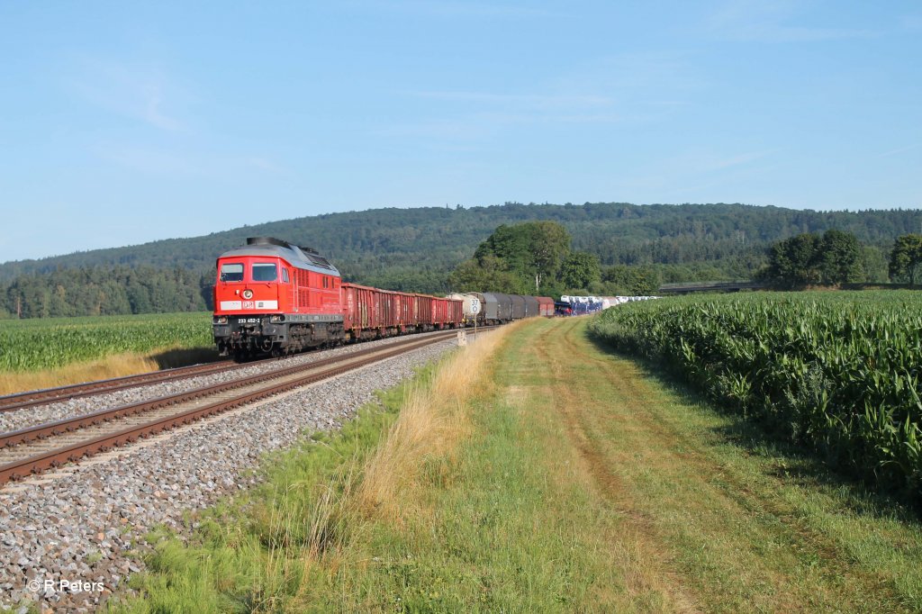 233 452-2 mit dem 51683 Zwickau - N�rnberg bei Oberteich. 01.08.13