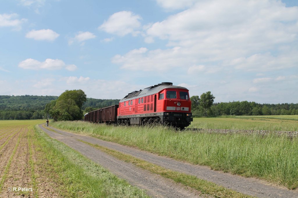 233 511-5 mit dem 49350 Schrottzug Cheb - N�rnberg bei Oberteich. 13.06.13