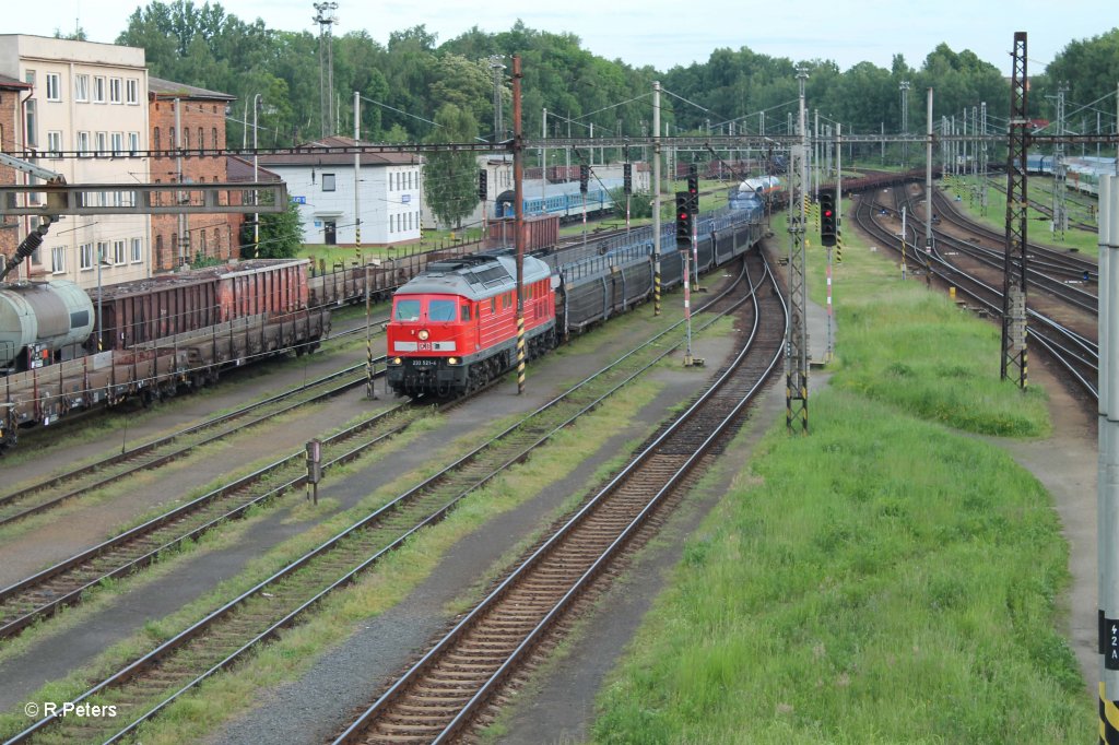 233 521-4 schl�ngelt sich mit dem 45369 in den Bahnhof Cheb (CZ) am Abend des 14.06.13