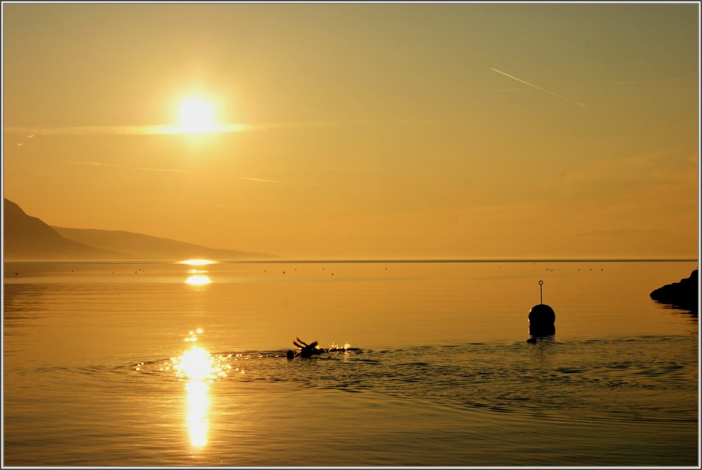 Abendstimmung am Genfersee am 27.02.2012