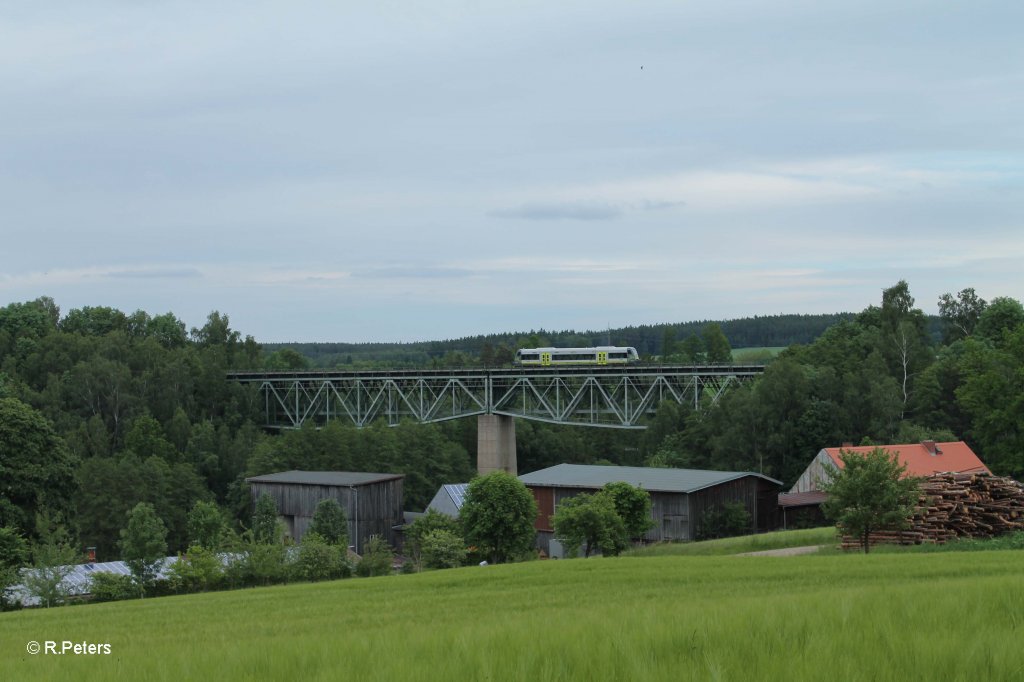 Agiles aus Hof kurz vor Marktredwitz bei Unterth�lau.14.06.13