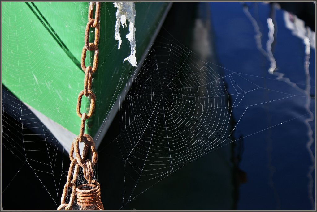 Altweibersommer am Genfersee
(28.09.2012)