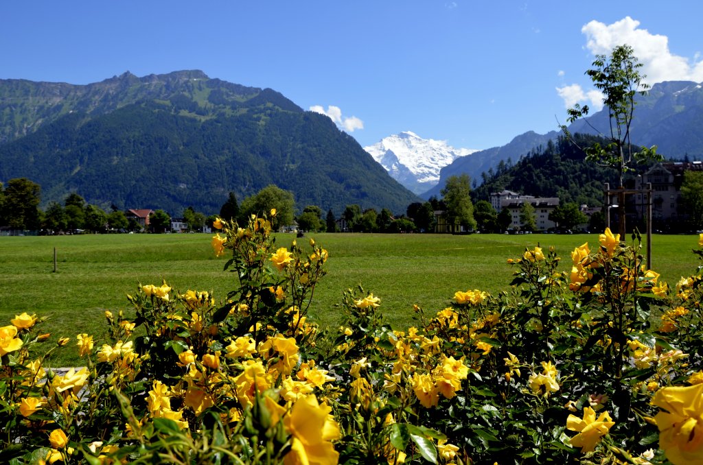 Besucher aus aller Welt kommen nach Interlaken, um diesen sch�nen Blick zu genie�en.
Nach einem ganzen Regensamstag in Frutigen wurden wir Sonntag und Montag im Berner Oberland von der Sonne verw�hnt. (01.07.2013)