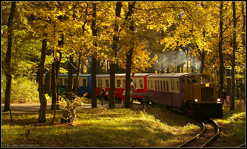 BPE 199 103-3 mit ihrem Personenzug kurz vor dem Bahnhof Badesee (20 Jahre Schmalspur-Freunde Berlin e.V., gesehen Berlin Wuhlheide 23.10.2010)