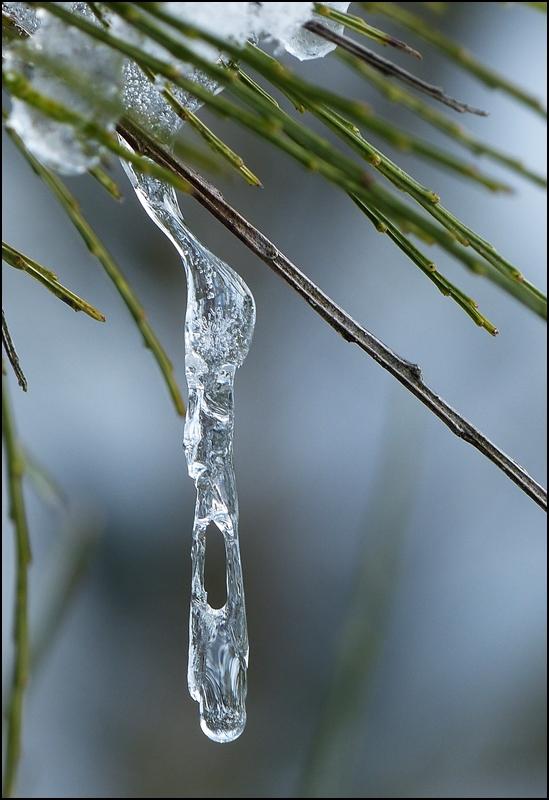 Das Nadel�hr. 09.02.2013 (Jeanny)